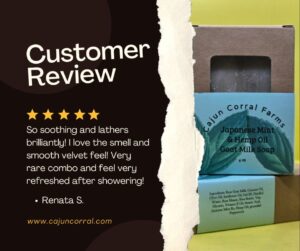 Copy of Copy of Japanese Mint Soap Review
