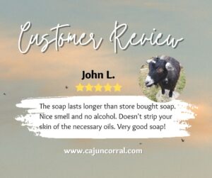 Copy of sandal wood soap review