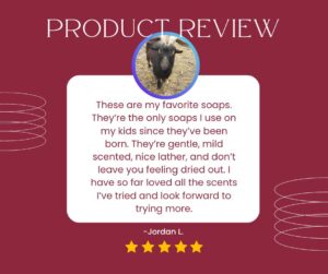 Green Tea Tea Trea Oil and Cinnamon Review