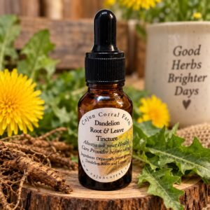 Dandelion Root & Leaf Tincture – 0.5 oz