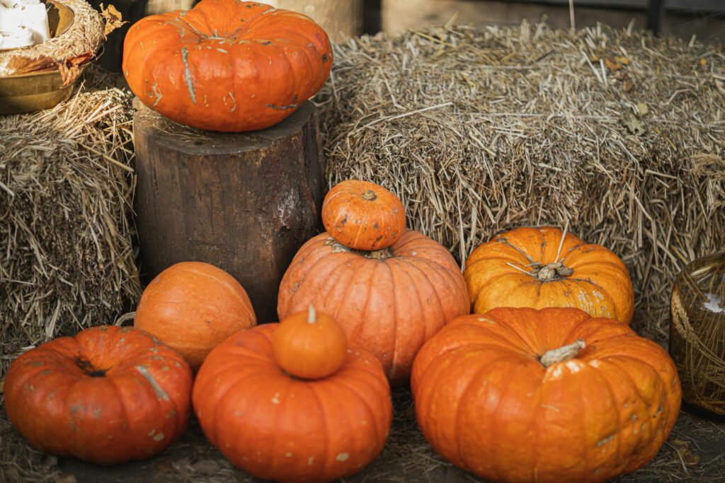 Fall decorations