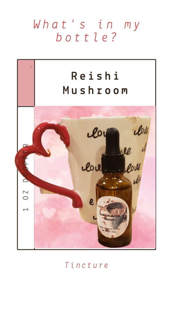 Reishi Mushroom Tincture 1oz