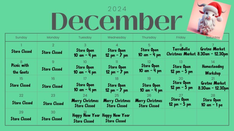 Dec 2024