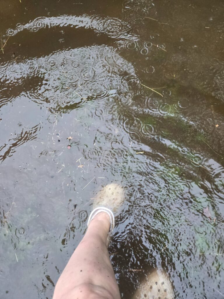 Barn Flooding