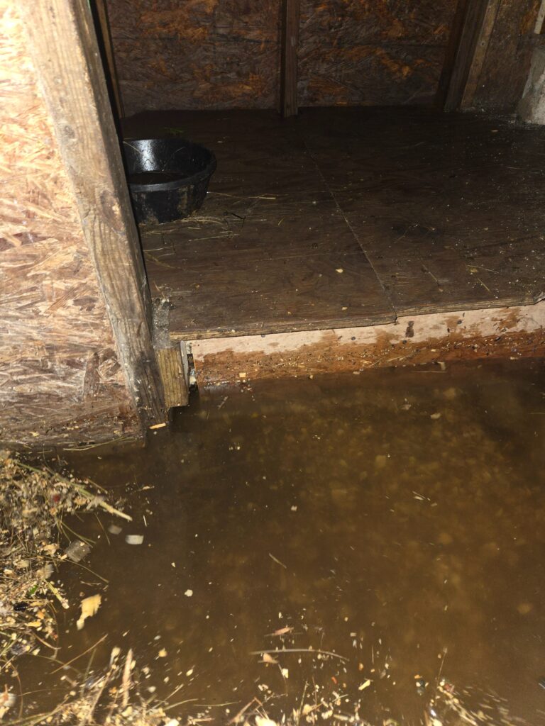 flood inside barn