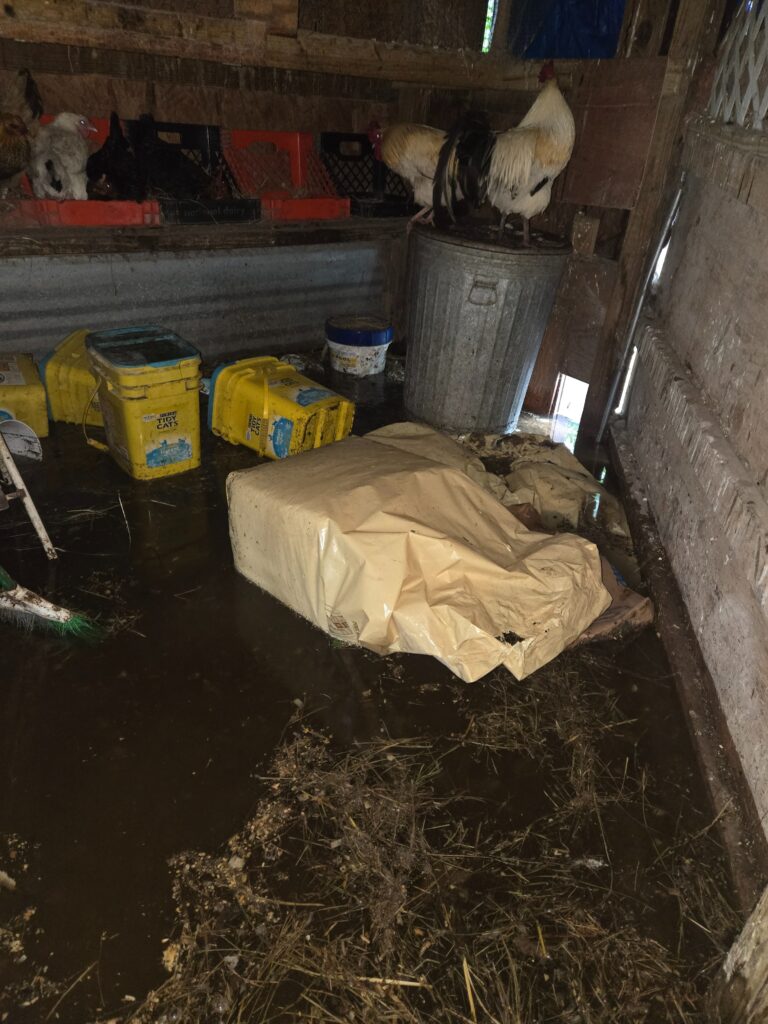 flood in feed area