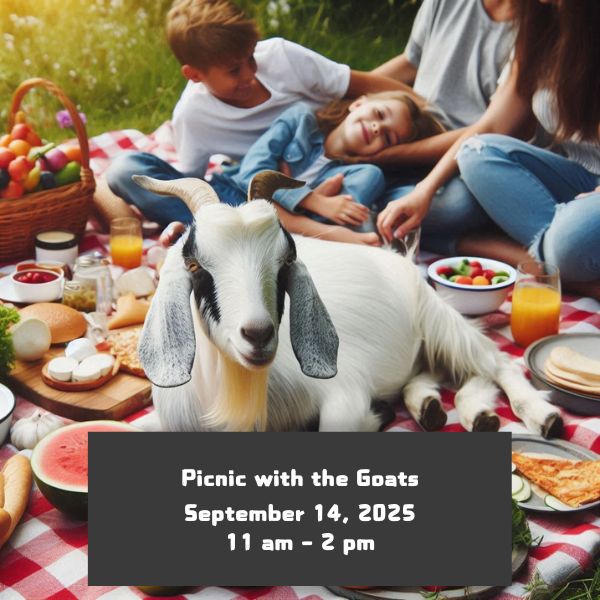 Picnic with the Goats