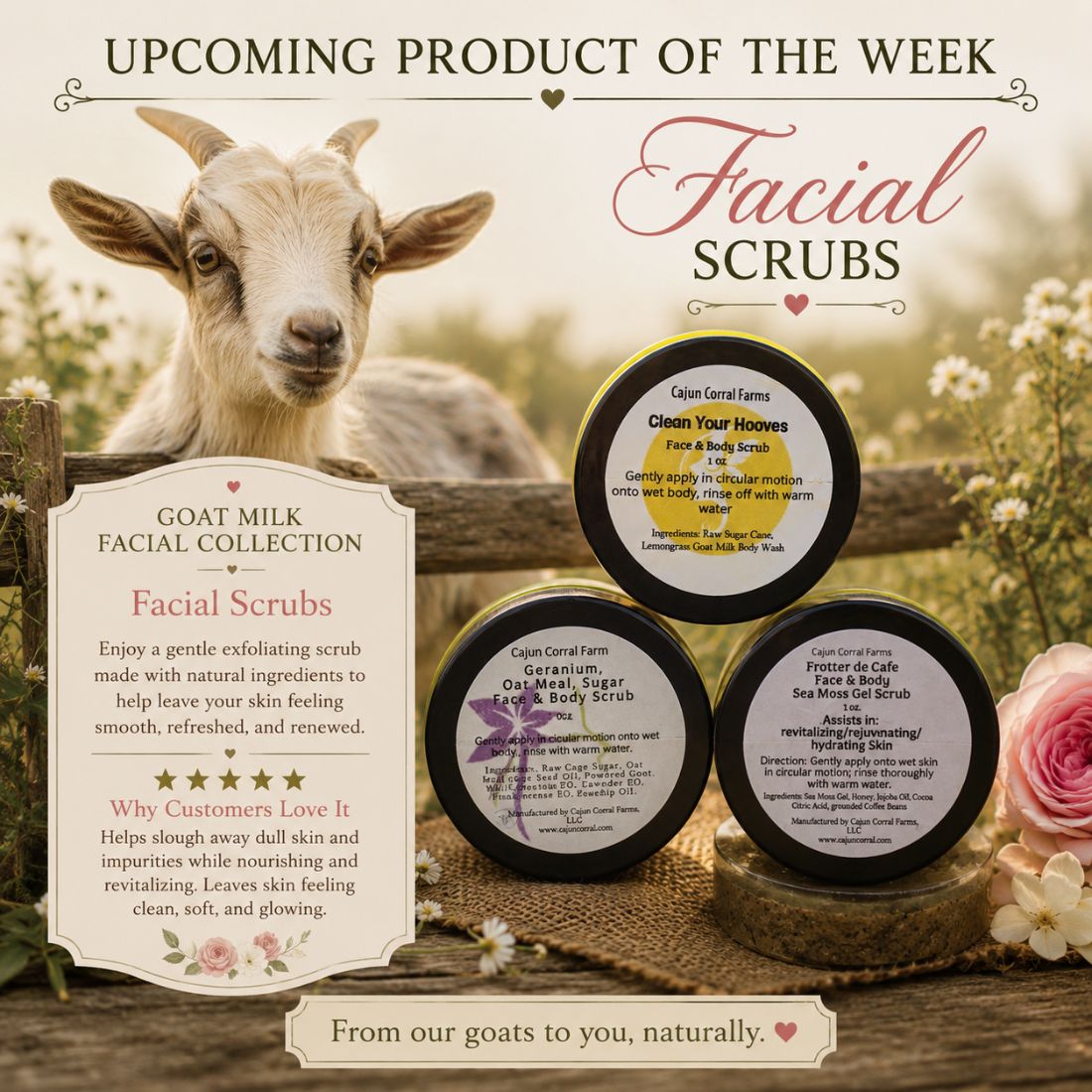 Geranium Oatmeal Goat Milk Sugar Scrub – 1 oz - Image 3